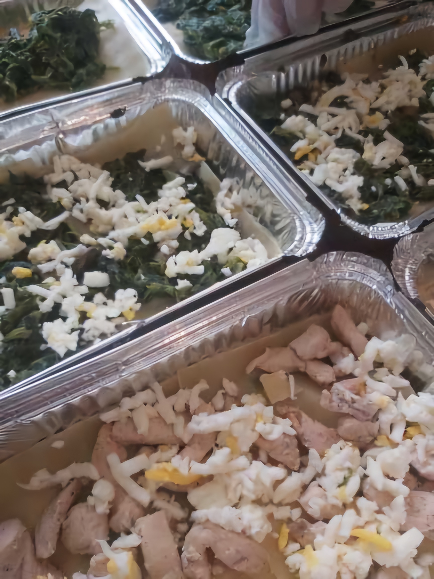 لازانیا اسفناج و مرغ